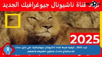تردد 2025.. كيفية ضبط قناة ناشيونال جيوغرافيك على نايل سات للاستمتاع بأحدث محتوى الطبيعة والعلوم